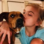 Marlie carson pennington - @dogmom_518 - Instagram