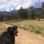 Carson Perry - @carsonperry09 - Instagram