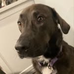 Carson Peters - @carso.npeters - Instagram
