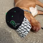 Carson Peters - @carson1950 - Instagram