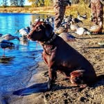 Carson Peterson - @carson_emery38 - Instagram
