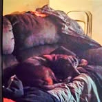 Carson Peterson - Facebook