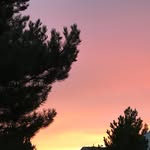 Carson Pettit - @all_carsons_crap - Instagram