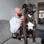 Carson Bagly - Facebook