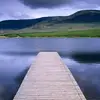 carson_pitts1301 - @carson_pitts1301 - TikTok