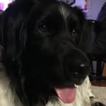 Carson - @_carson_powers_ - Instagram