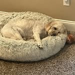 Carson powers - @carsonhockey92 - Instagram