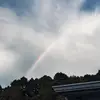 Carson Pruitt - @carson.matthew07 - TikTok