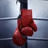 carsonhoodenpyle6 - @boxerethic - TikTok