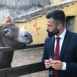 Tuco - @tuco_bill_carson_ramirez - Instagram