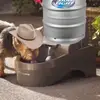 Carson Randolph - @cedar_yup - TikTok