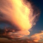Carson G. Rankin - @carsong.rankin - Instagram