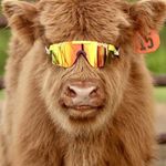Carson Rankin - @carsonrankin22 - Instagram