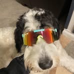 Carson Rasmussen - Facebook