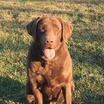 Carson Scott Ray - @carson_ray_ - Instagram