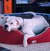 Carson Redwine II - Facebook