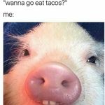 Carson Reeves - @creeves1841 - Instagram