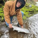 Carson Remington - @cardobefishing - Instagram