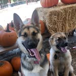 Remington and carson molina - @remington_and_carson - Instagram