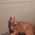 Carson Reyes - Facebook