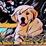 Carson Reyes - @comic_looking - Instagram