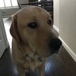 Carson Richter - @carsonrichter2 - Instagram