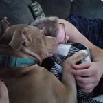 Carson Richter - @carson89842 - Instagram