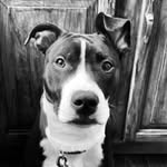 Carson Richter - @crsnrichter - Instagram