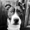 carsonrichter01 - @carsonrichter01 - TikTok