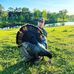 Carson Riley - Facebook