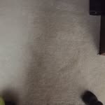 Carson Ritz - @critz271 - Instagram