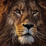 Carson Roach - @carsonroach88 - Instagram