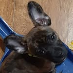 Carson Roberts - @carsonroberts167 - Instagram