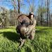 Carson Robertson - Facebook
