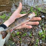 Carson Sanders - @carson_sanders2500 - Instagram
