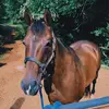 carson-sells - @carsonsells1 - TikTok