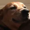Carson Sells - @sellscarson - TikTok
