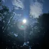 horsehypehouse - @carson.sells5 - TikTok