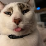 Carson Skinner - @cjnohate - Instagram