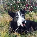 Carson Stanley - @carsonstanley8856 - Instagram