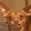 carson - @carsonstaples6 - TikTok