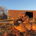 Carson Thompson - Facebook