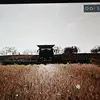 Carson Thompson - @carson.thompson64 - TikTok