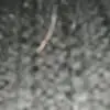 Carson Turner - @carson.turner89 - TikTok