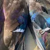 Carson Ward - @ward.carson - TikTok