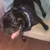 Carson Wheeler - @carson.wheeller - TikTok