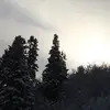 carsonwheeler117 - @carsonwheeler117 - TikTok