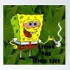 Carsonwheeler - @carsonwheeler - TikTok