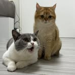 Carson  Wong - Facebook