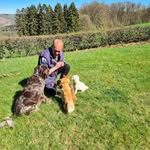 Carsten Becker - @carstenbecker349 - Instagram